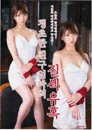 剧集《长夜列车》条目封面